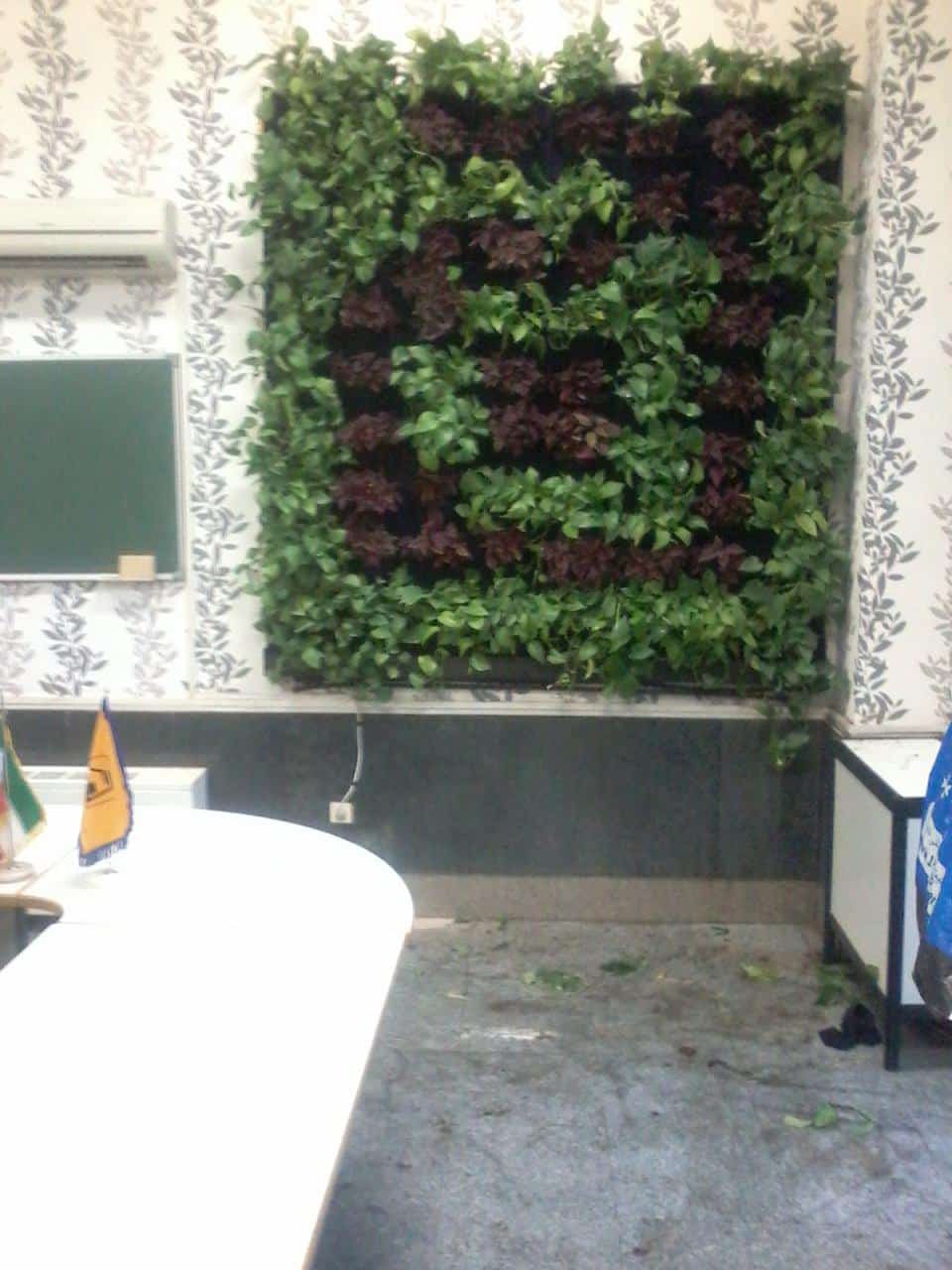 دیوار سبز دفتر معاونت امور ایستگاه های مترو