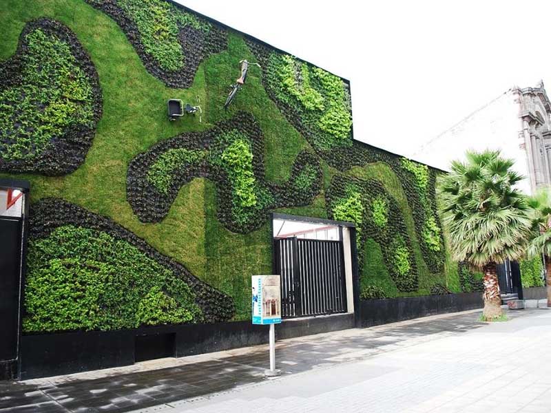 ویژگی‌ دیوار سبز