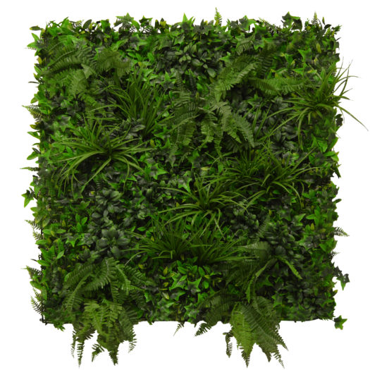 گیاهان مناسب دیوار سبز