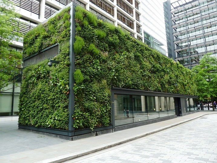 وجود دیوار سبز در شهر موجب کاهش گرمای محیط شهری می‌شود.