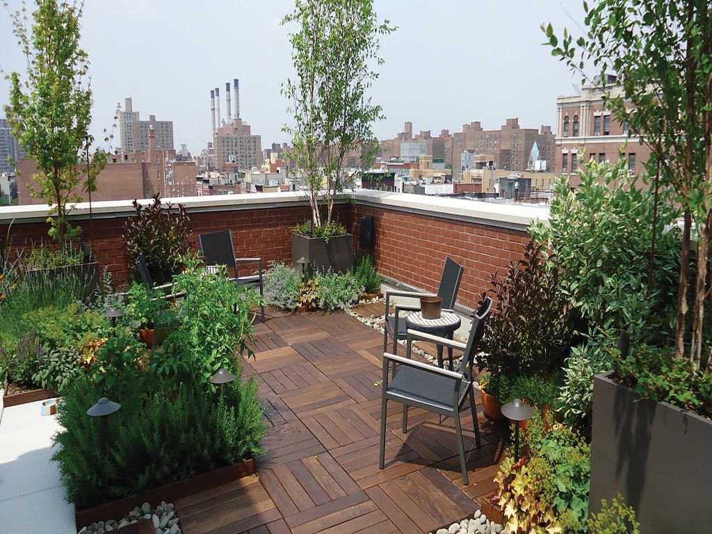 کدام گیاهان برای Roof Garden مناسب هستند؟