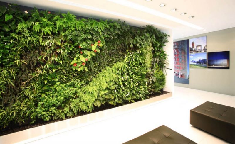 دیوار سبز عمودی در طراحی فضای اداری کوچک
