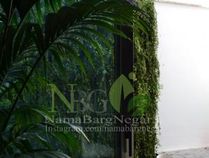 دیوار سبز | گرین وال داخلی  لواسان